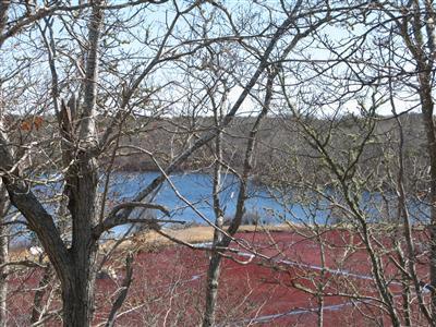 417 Great Fields Road Brewster, MA 02631 - Photo 1 of 9 Primary Photo