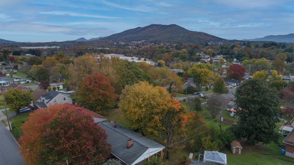 4209 Oliver Road Northeast Roanoke, VA 24012 - Photo 20 of 24 View 1