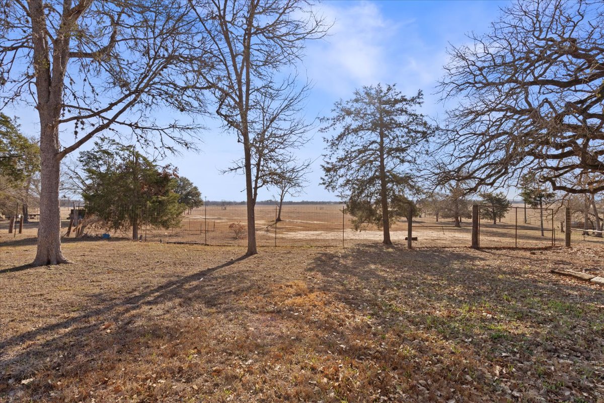303 Ponderosa Road Bastrop, TX 78602 - Photo 25 of 34 a view of empty yard with trees