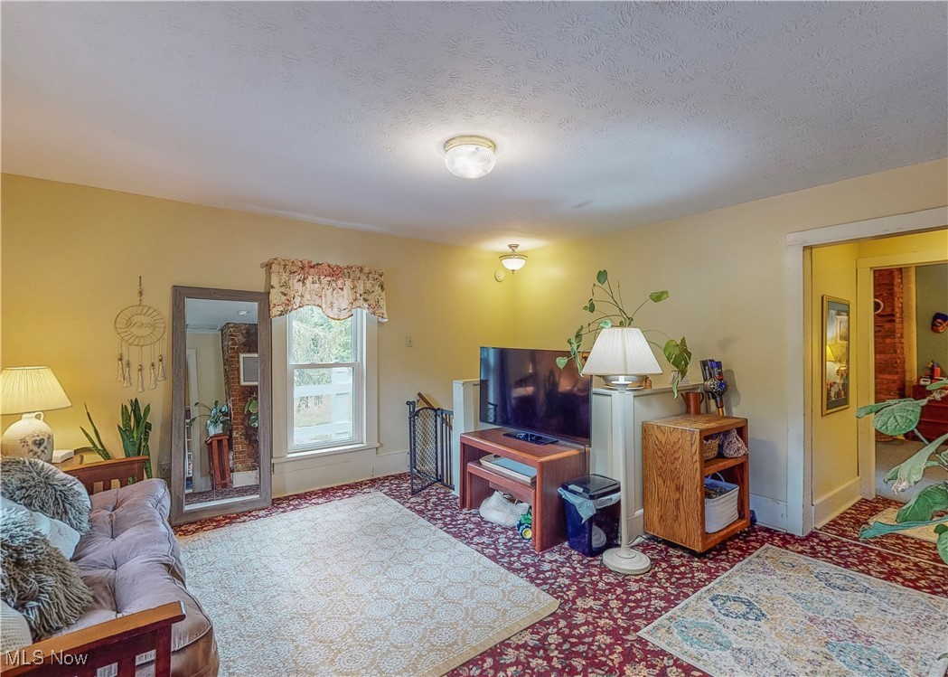 5696 Steubenville Road Southeast Amsterdam, OH 43903 - Photo 17 of 50 Living room with carpet flooring and a textured ceiling