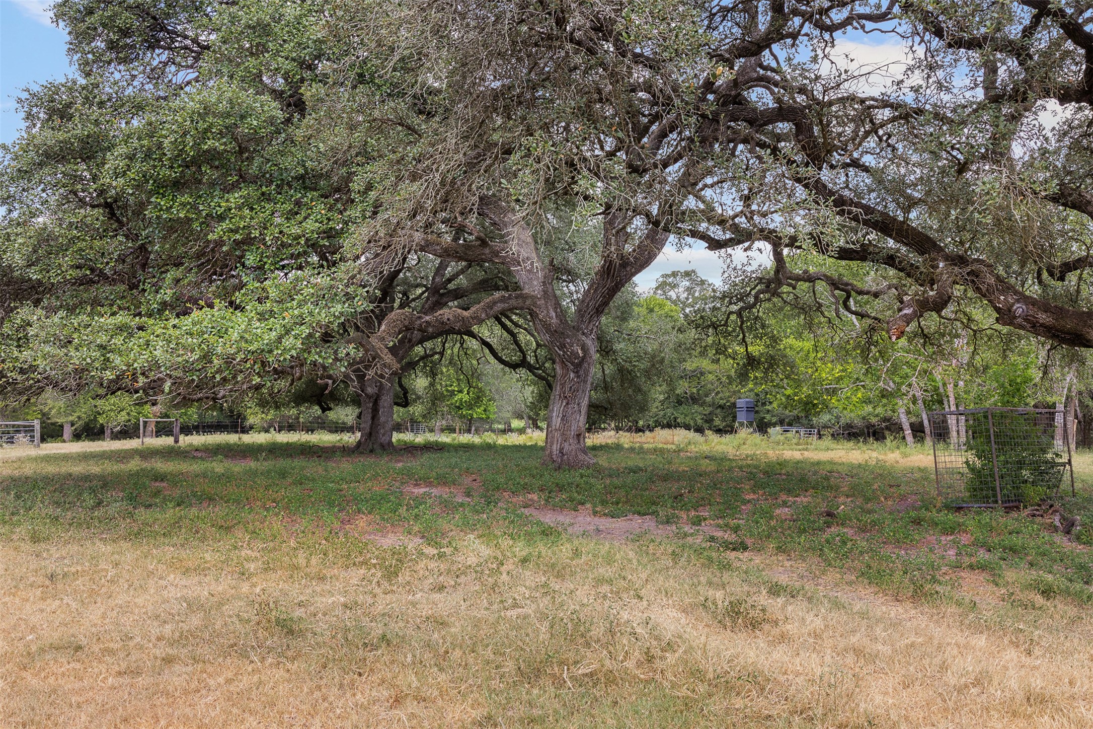 3523 Seidel Road Schulenburg, TX 78956 - Photo 13 of 40 Gallery Image 13