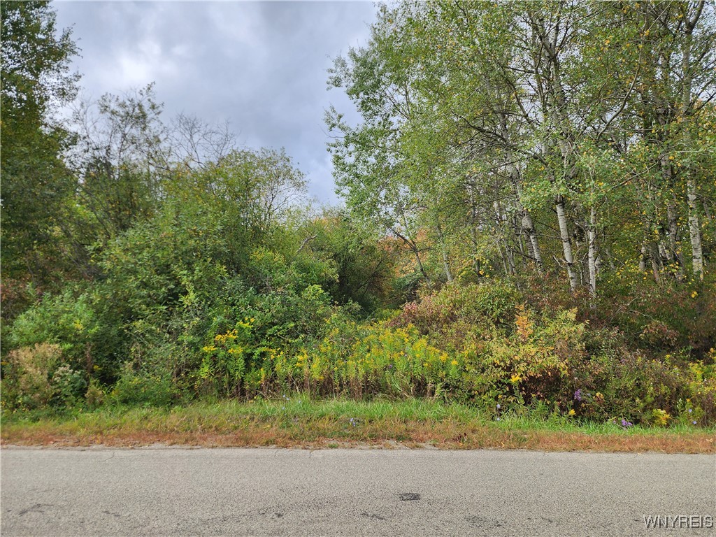 0 Caswell Road Randolph, NY 14772 - Photo 1 of 5