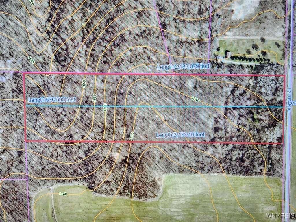 0 Caswell Road Randolph, NY 14772 - Photo 5 of 5