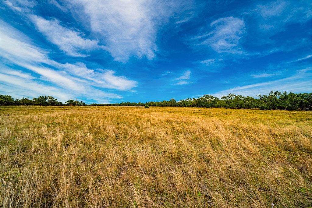 Lot 25 Reservation Road, Unit 25 Harper, TX 78631 - Photo 2 of 5 Gallery Image 2