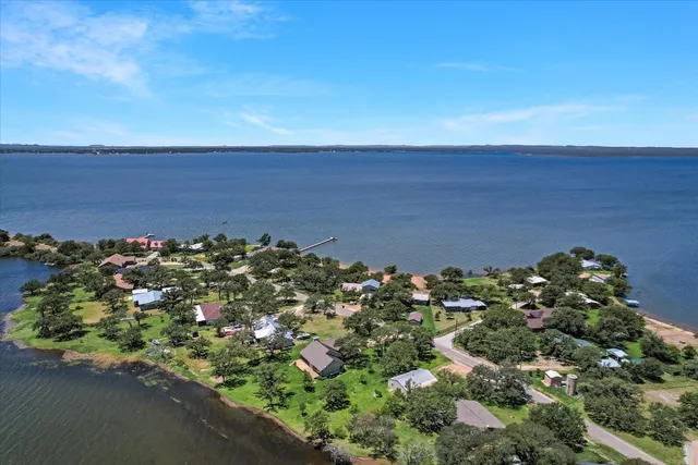a view of a bunch of flowers and trees