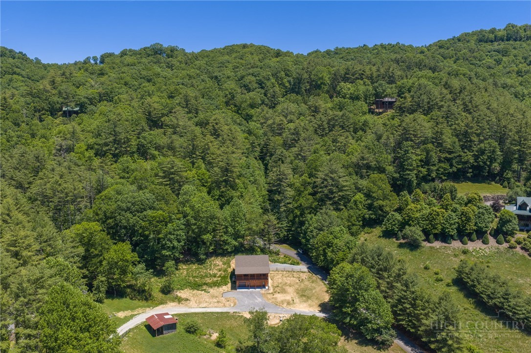 167 Apple Cove Road Banner Elk, NC 28604 - Photo 47 of 47
