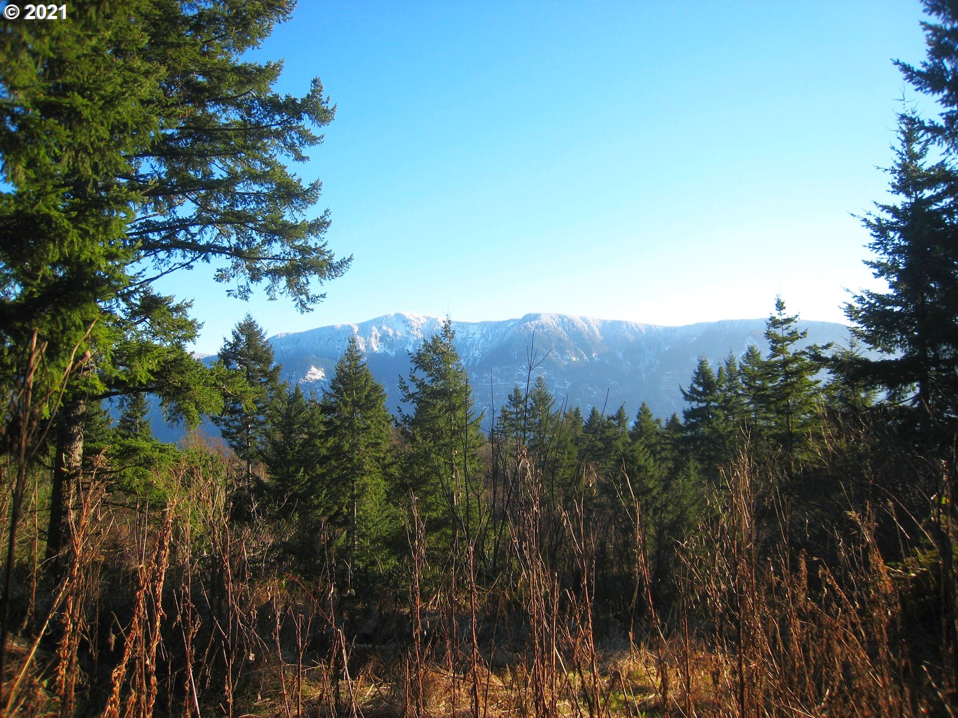 1806 Duncan Creek Road Stevenson, WA 98648 - Photo 22 of 23 Gallery Image 22