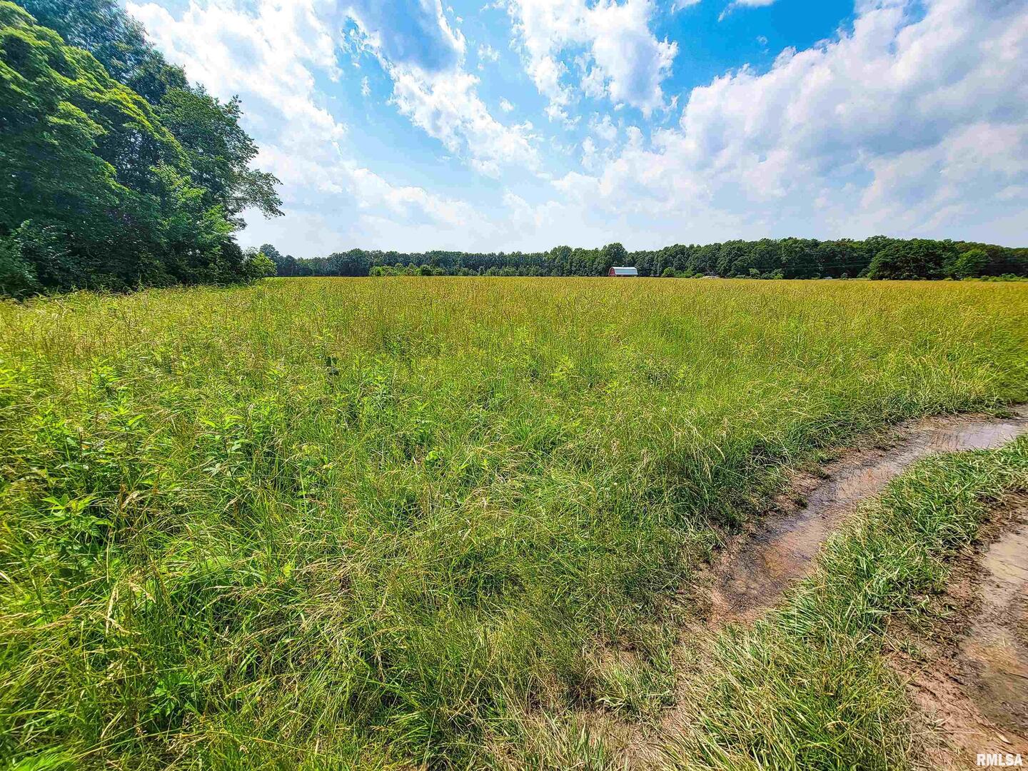 199 Hanging Rock Road Flora, IL 62839 - Photo 5 of 10 a view of a lake with houses in the back