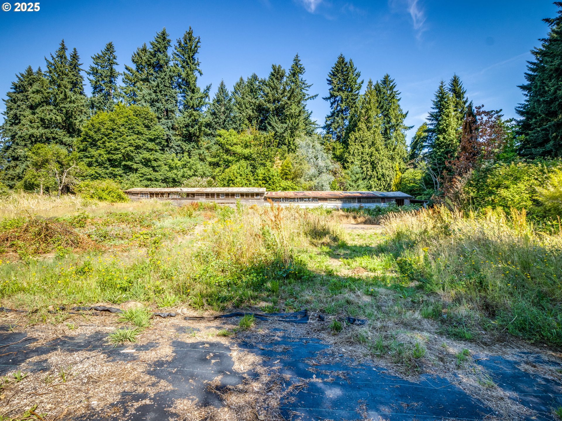 1600 Southwest Borland Road West Linn, OR 97068 - Photo 24 of 26 Gallery Image 24