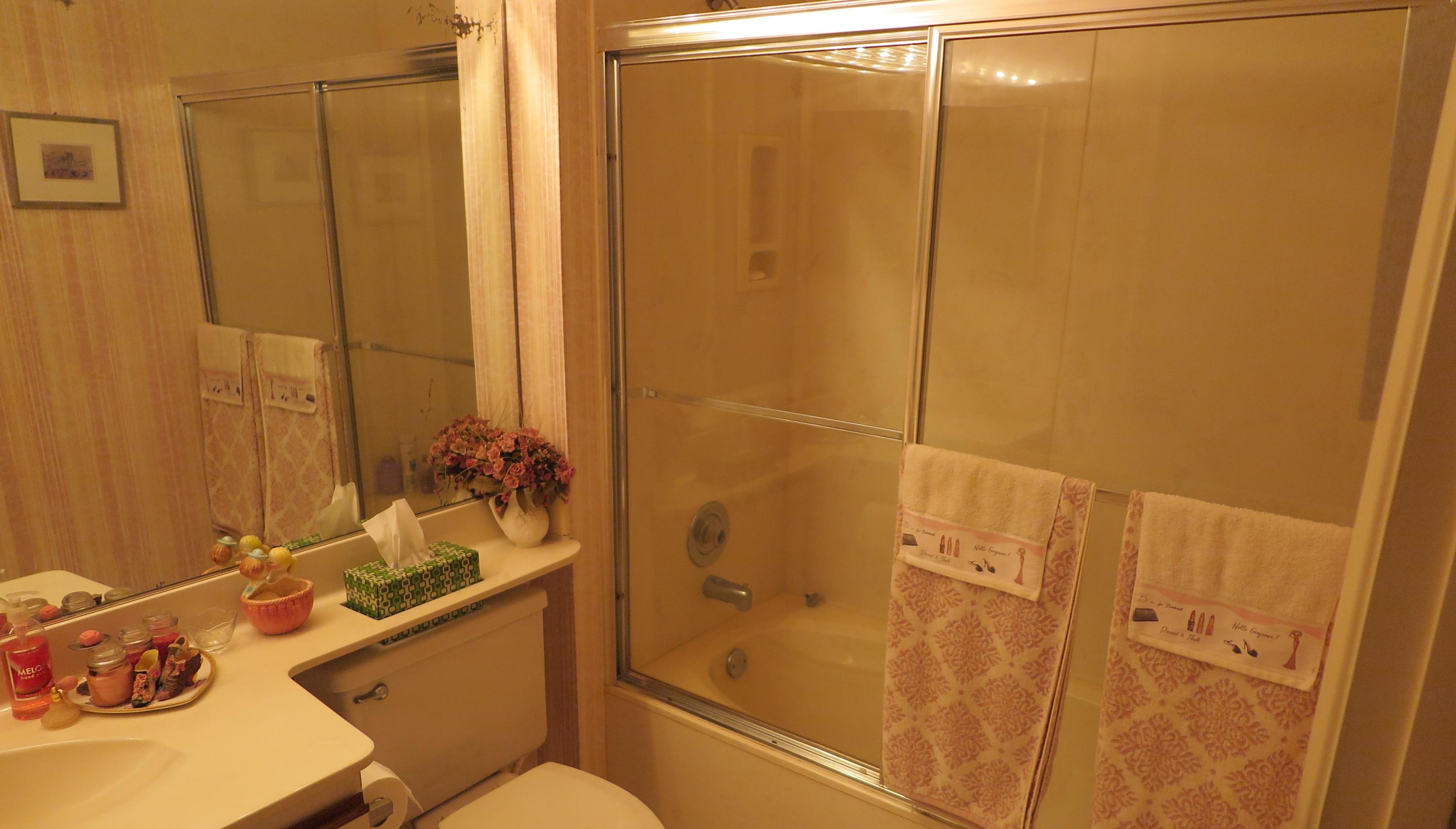 7832 La Mirada Drive Boca Raton, FL 33433 - Photo 12 of 15 SECOND BATHROOM