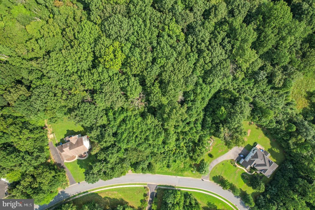 39 Wood Chip Road Elkton, MD 21921 - Photo 2 of 3 a backyard of a house with lots of green space