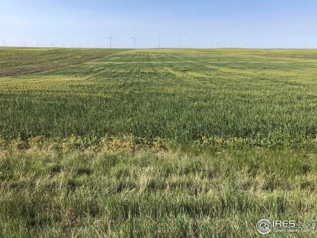 a view of an ocean from a yard