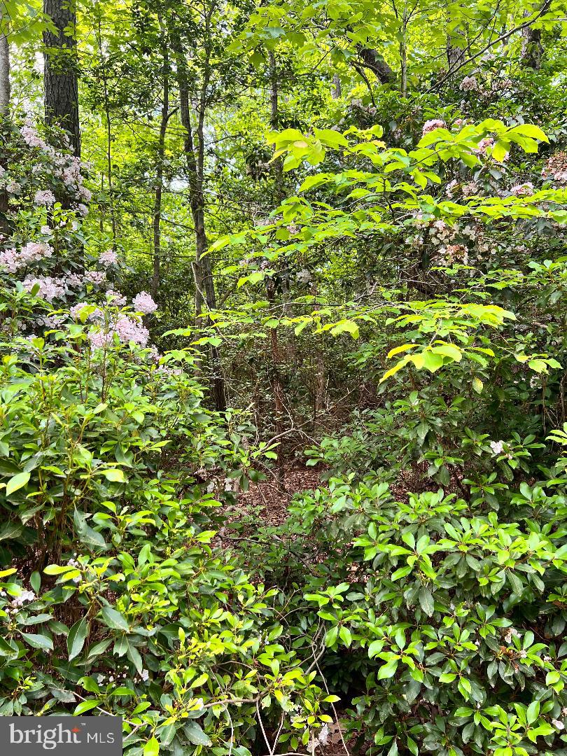 0 High Point Trail Heathsville, VA 22473 - Photo 2 of 5