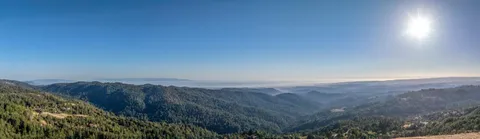 a view of a house with wooden floor