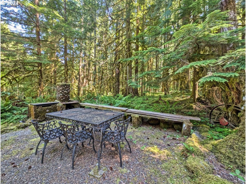 27602 Road 20 Rhododendron, OR 97049 - Photo 11 of 46 a view of outdoor space yard and patio