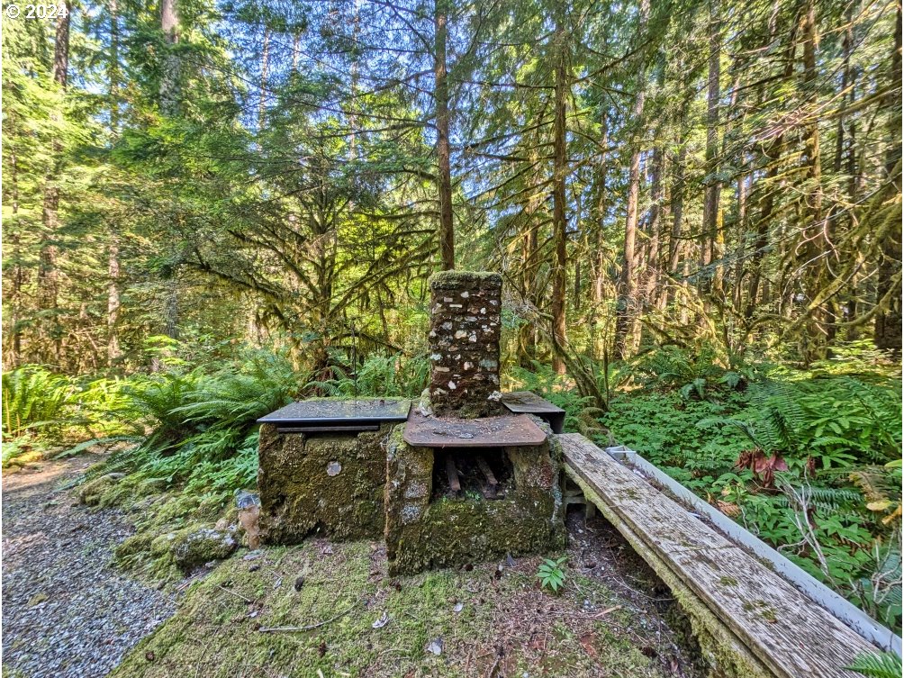 27602 Road 20 Rhododendron, OR 97049 - Photo 12 of 46 a view of a garden with plants