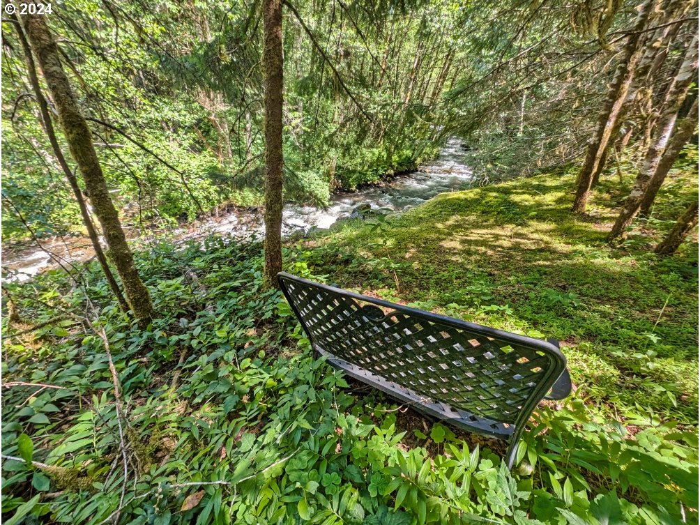 27602 Road 20 Rhododendron, OR 97049 - Photo 9 of 46 a picture of outdoor space