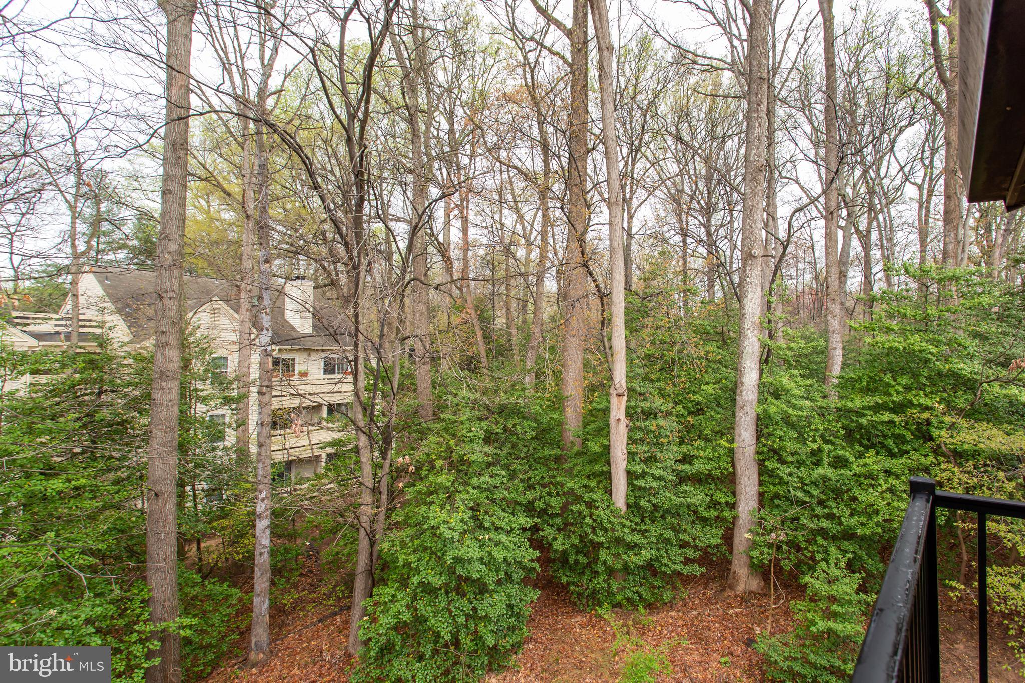 2206 Castle Rock Square, Unit 22C Reston, VA 20191 - Photo 31 of 35 Gallery Image 31