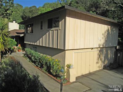 100 Holstein Road San Anselmo, CA 94960 - Photo 10 of 12 Gallery Image 10