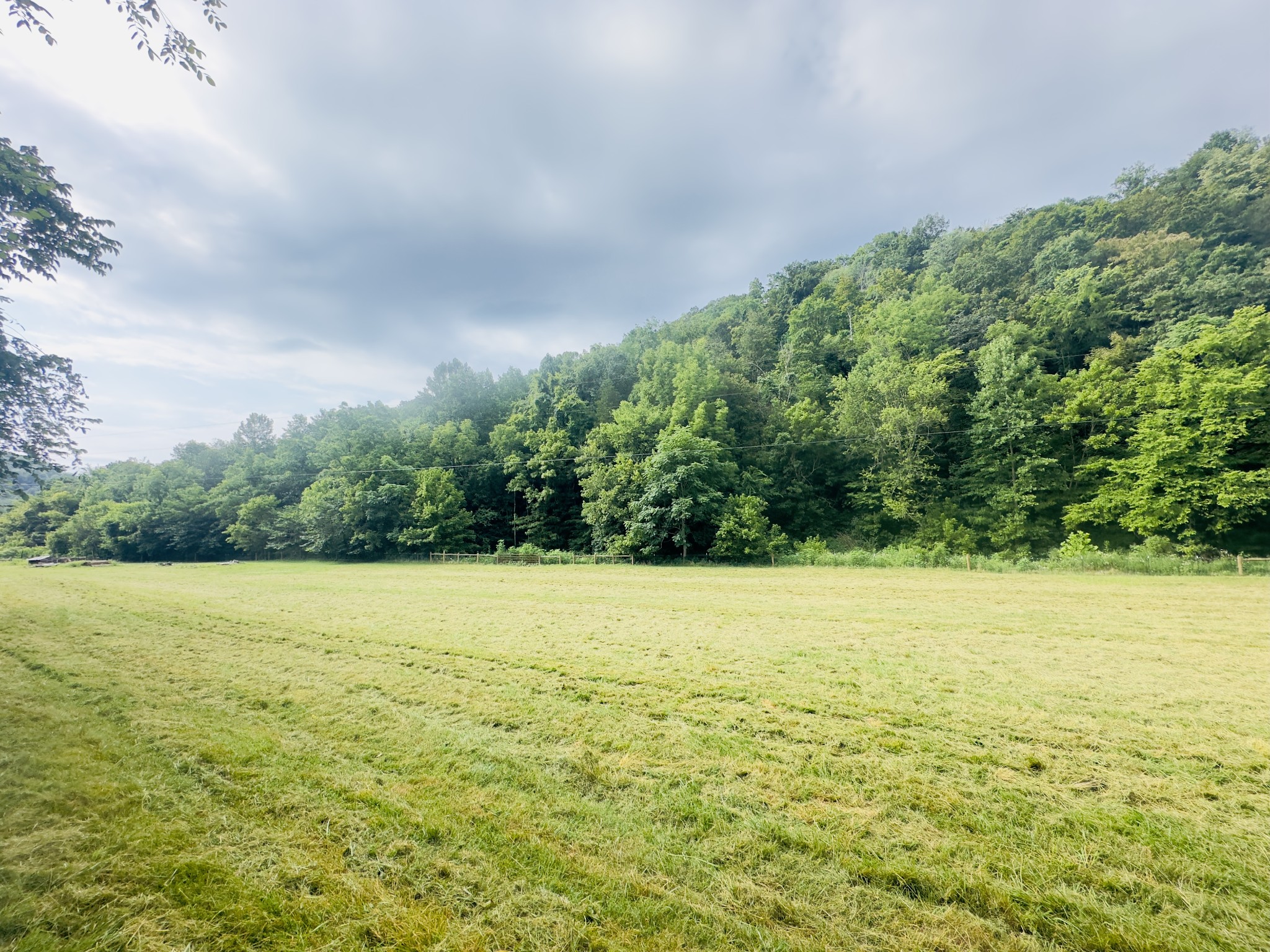 1611 Knob Creek Road Celina, TN 38551 - Photo 4 of 48