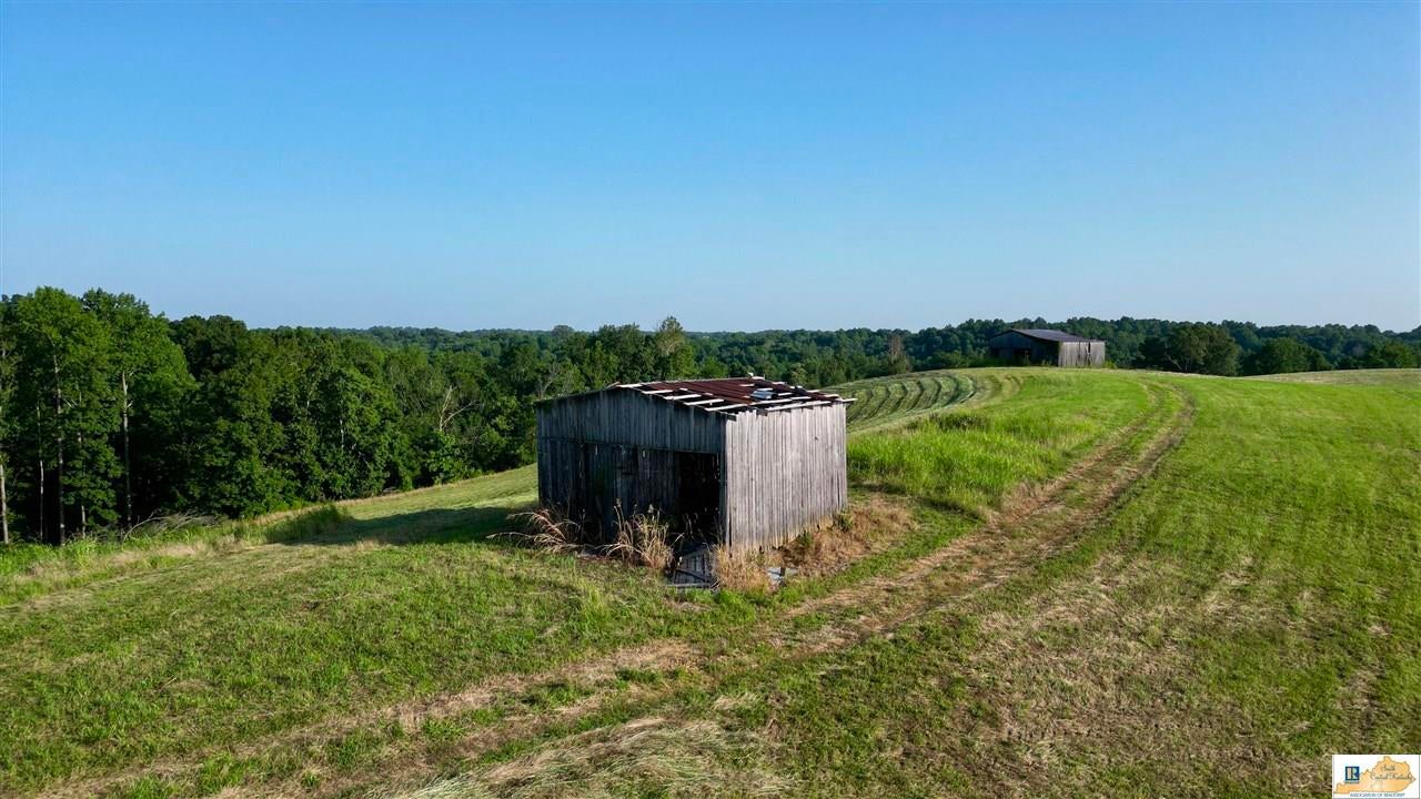 2417 Weed-Keltner Road Edmonton, KY 42129 - Photo 82 of 93 Gallery Image 82