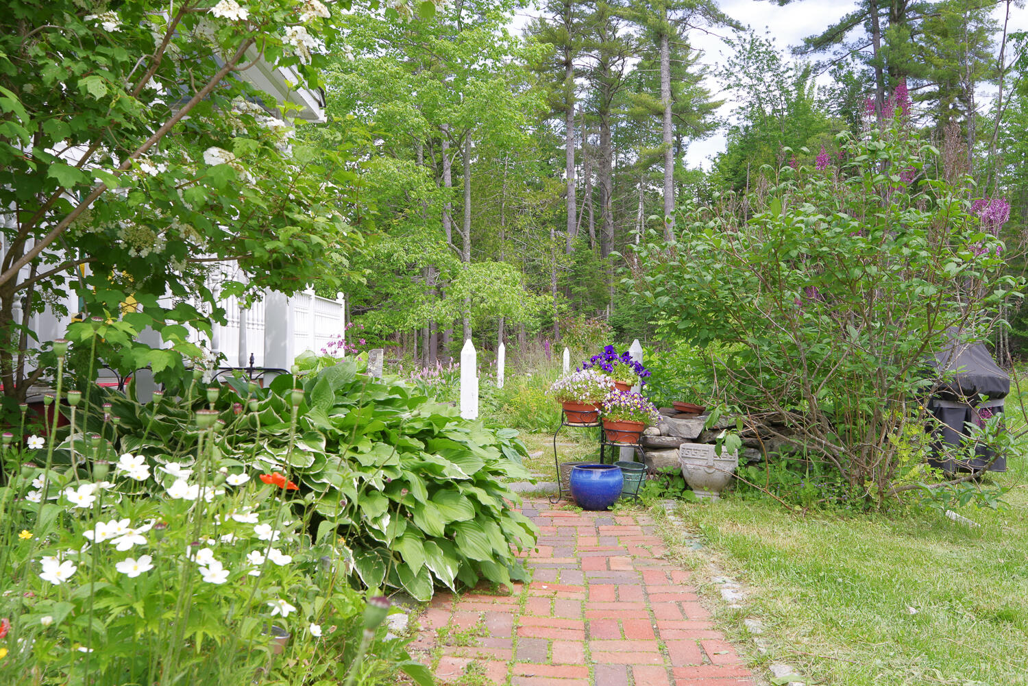 110 Robinson Road Waldoboro, ME 04572 - Photo 9 of 51 F32EF13A-20CB-44C0-8125-F7B5DB63AA56