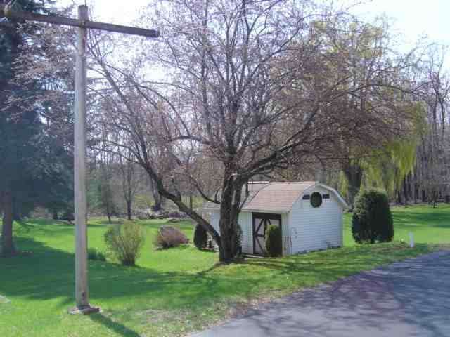 1732 River Road Coeymans, NY 12158 - Photo 3 of 9 Photo 3