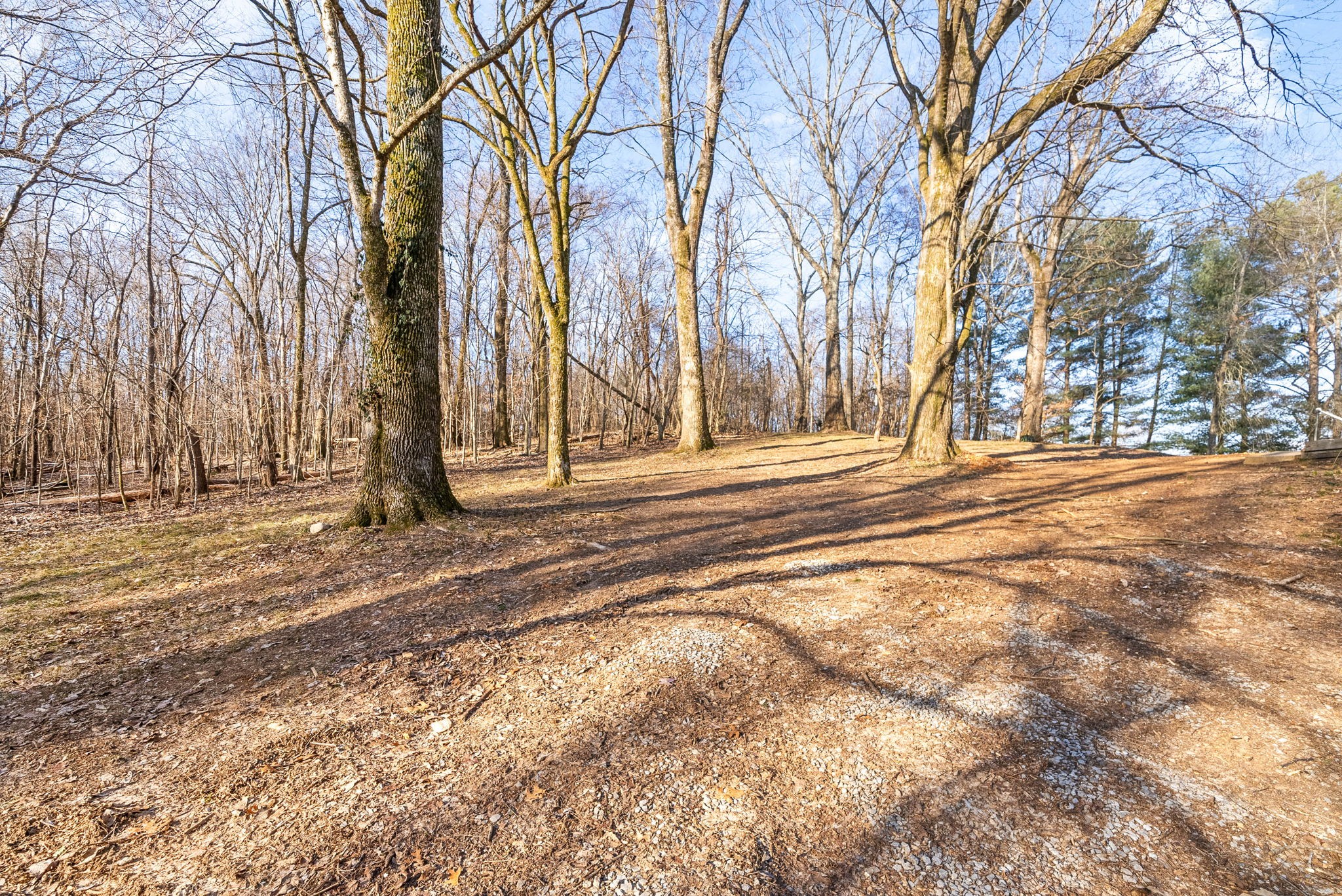 140 Dean Road Clarksville, TN 37040 - Photo 39 of 44 a view of a backyard of the house