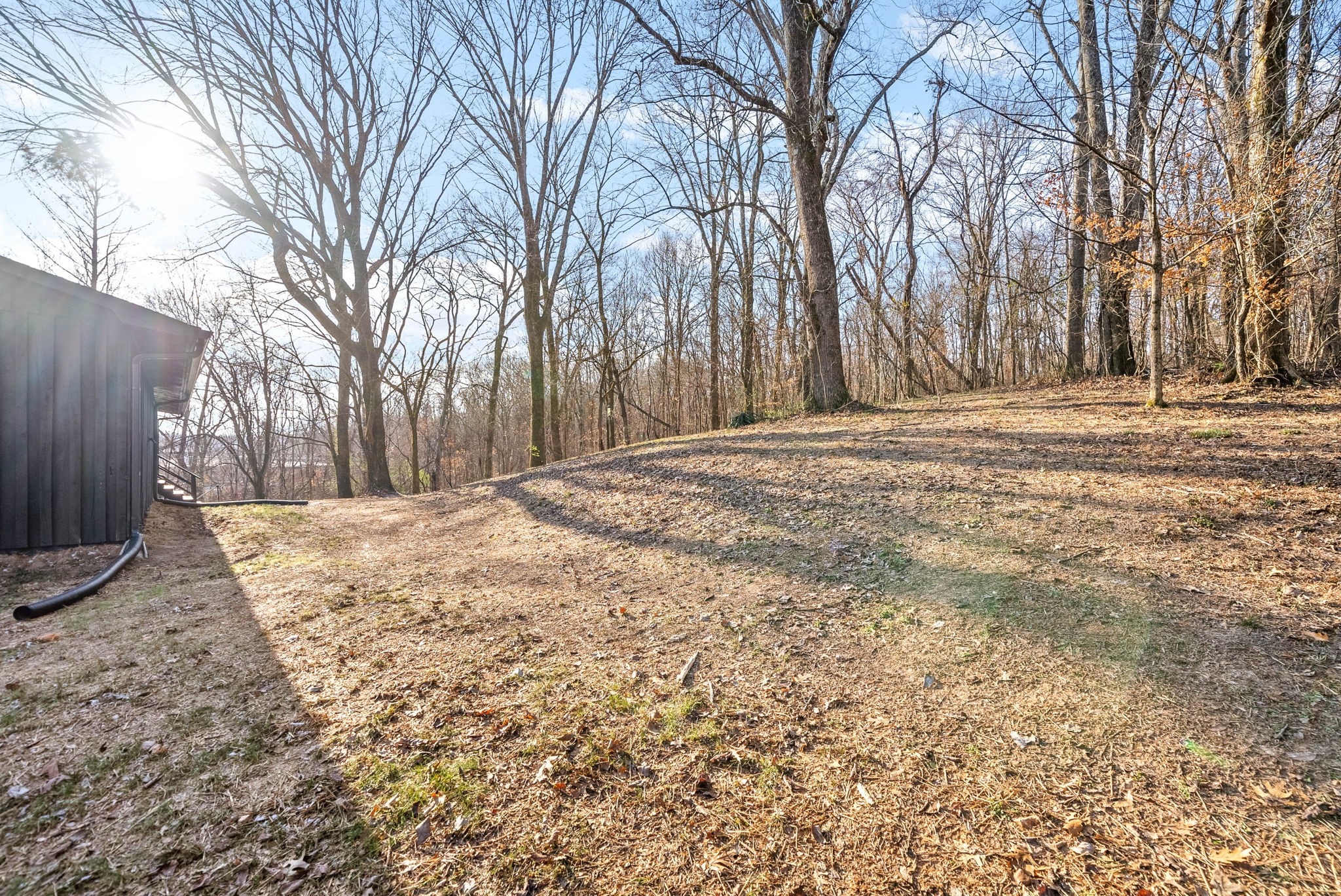 140 Dean Road Clarksville, TN 37040 - Photo 40 of 44 a backyard of a house with trees