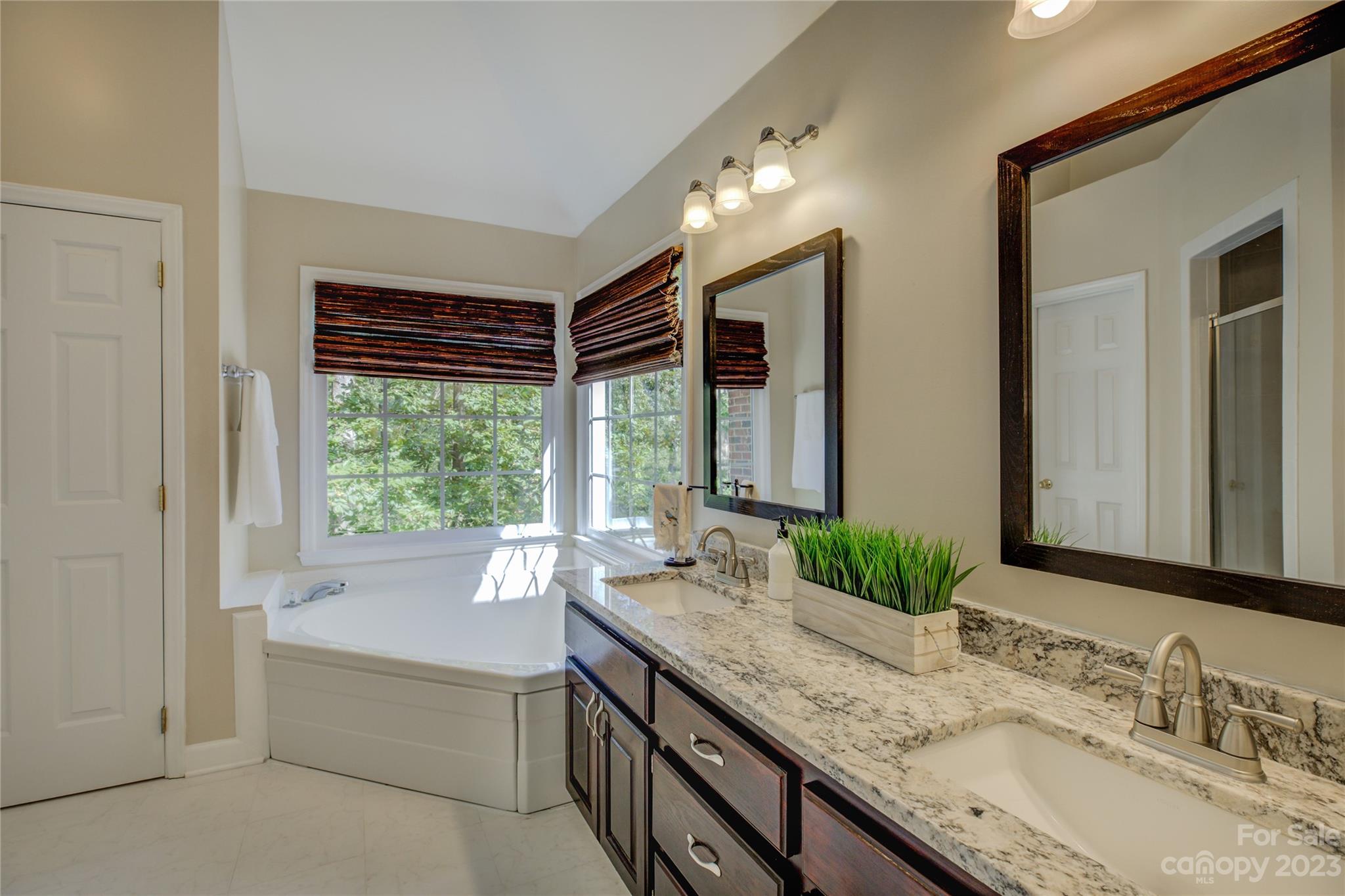 12017 Forest Home Drive Fort Mill, SC 29708 - Photo 27 of 44 a bathroom with a granite countertop sink and a large mirror