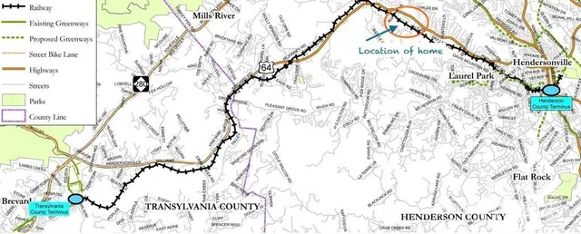 a picture of tree with tree in the background