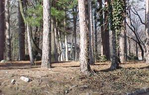 2 West Rinker Road Stroudsburg, PA 18360 - Photo 5 of 7 a view of a wooden house with a trees