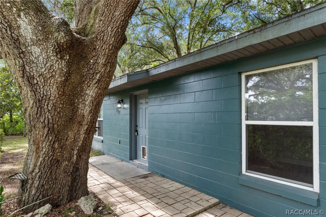 1317 Carl Street Inverness, FL 34453 - Photo 23 of 24