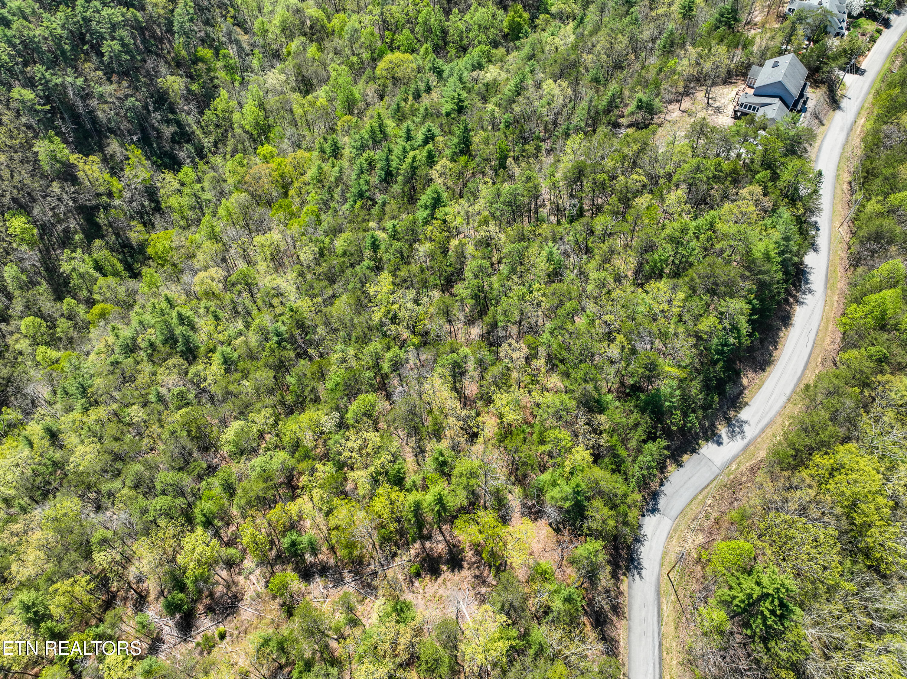 707 Bear Den Road Townsend, TN 37882 - Photo 8 of 22 Dsc_2990-4