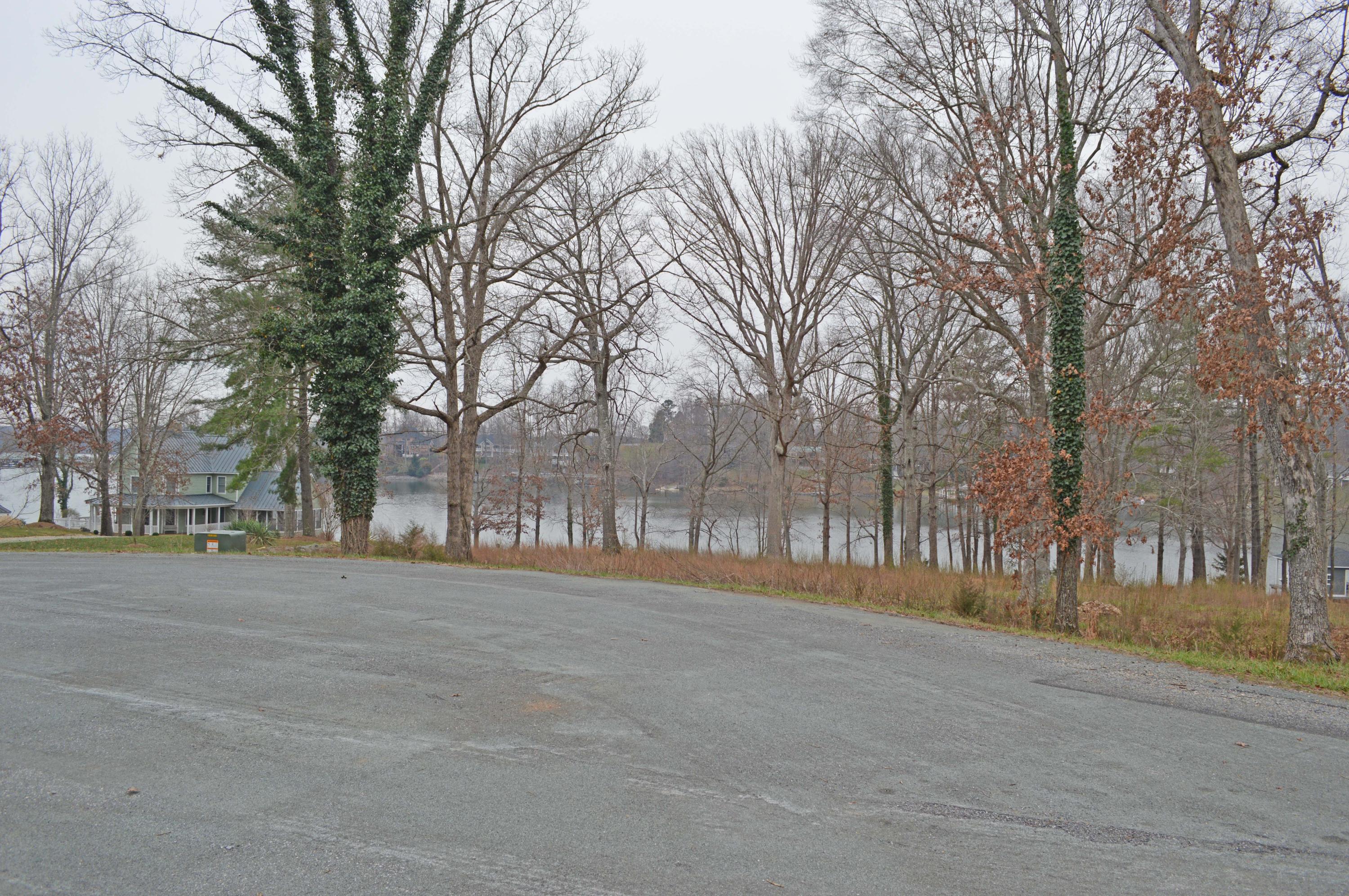 Lot 12 Reserve Road Moneta, VA 24121 - Photo 12 of 16 a view of road with trees