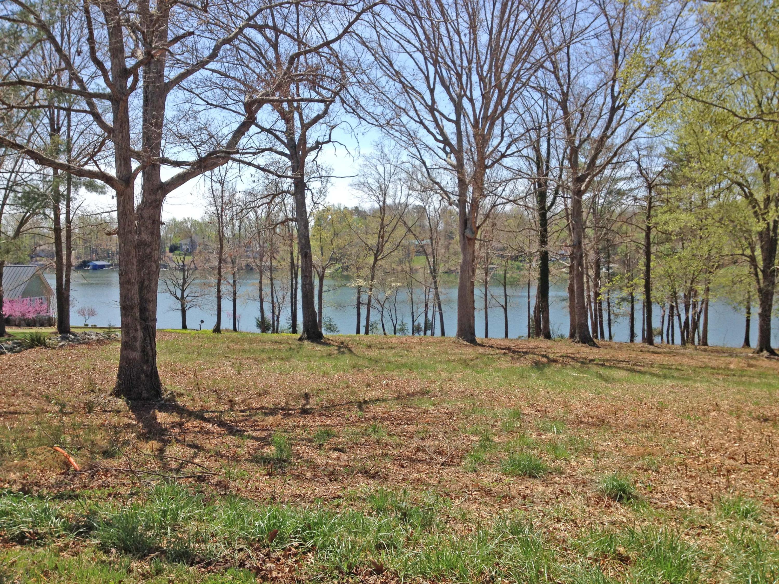 Lot 12 Reserve Road Moneta, VA 24121 - Photo 2 of 16 a house with trees in front of it