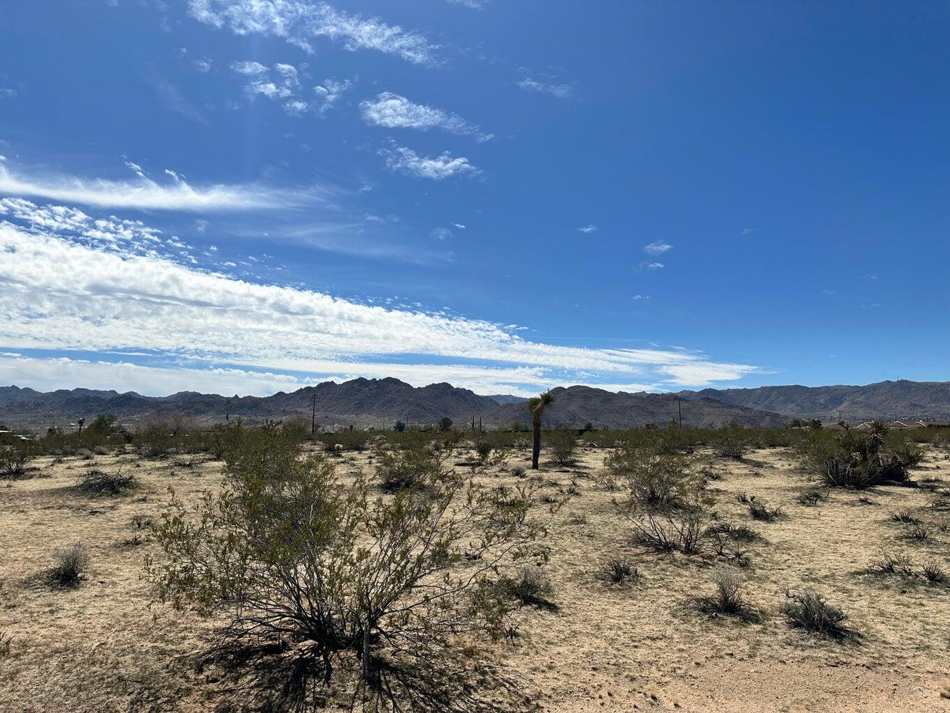 0 Neptune Avenue Joshua Tree, CA 92252 - Photo 2 of 7 Mountain View