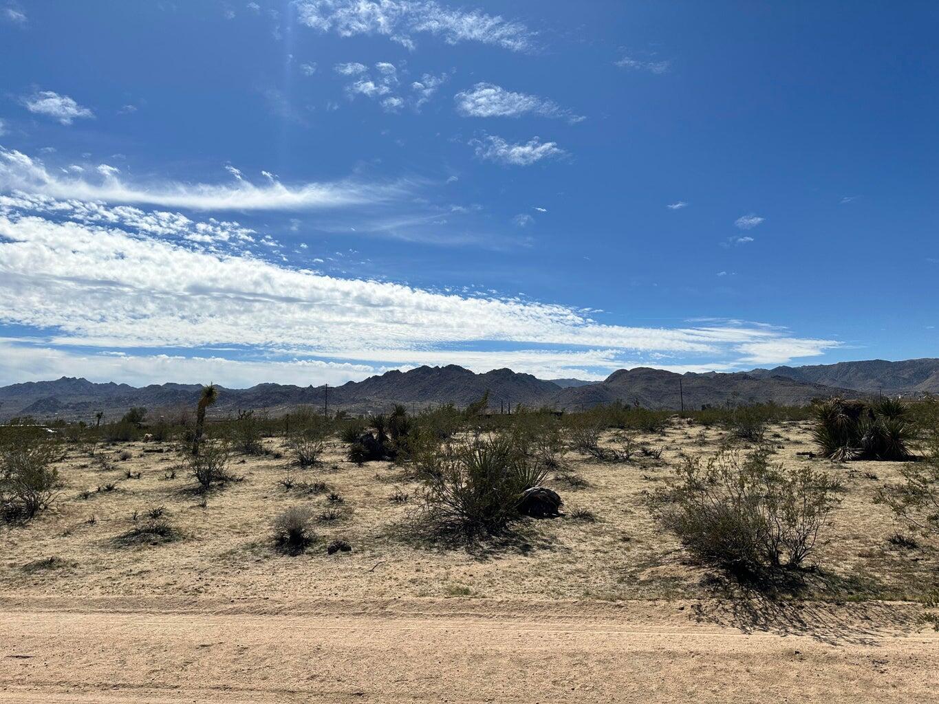 0 Neptune Avenue Joshua Tree, CA 92252 - Photo 3 of 7 Desert View