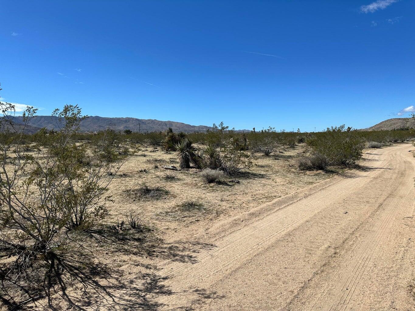 0 Neptune Avenue Joshua Tree, CA 92252 - Photo 5 of 7 View