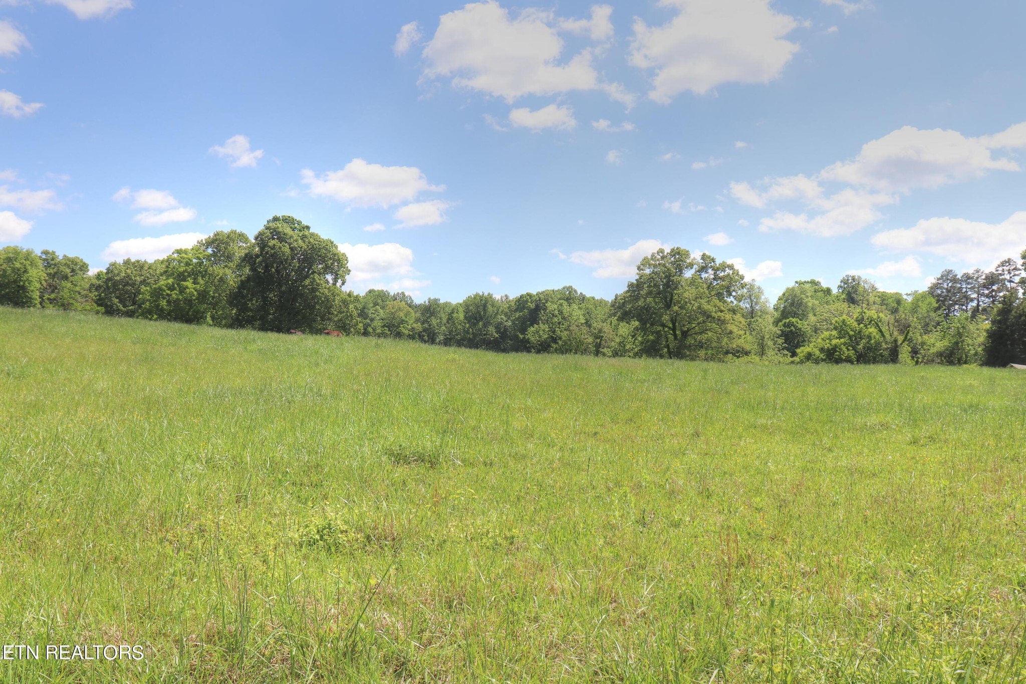 4004 Old Kentucky Road Morristown, TN 37814 - Photo 11 of 42 a view of a lake and yard in the back