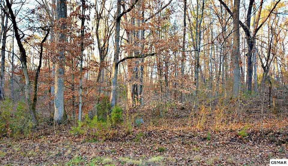 16 Deer Meadows Road Sevierville, TN 37862 - Photo 9 of 11