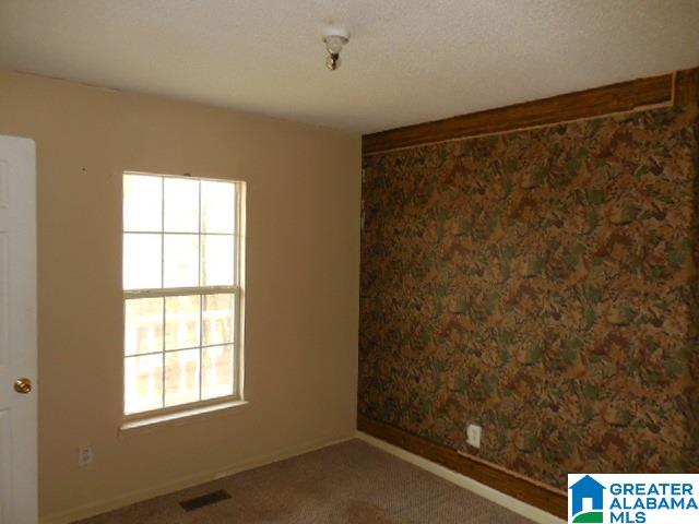 7060 Old Springville Road Pinson, AL 35126 - Photo 6 of 14