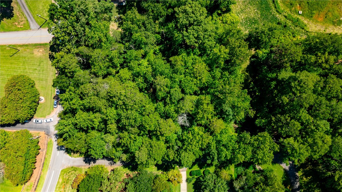 113 Jessamine Drive Central, SC 29630 - Photo 4 of 9