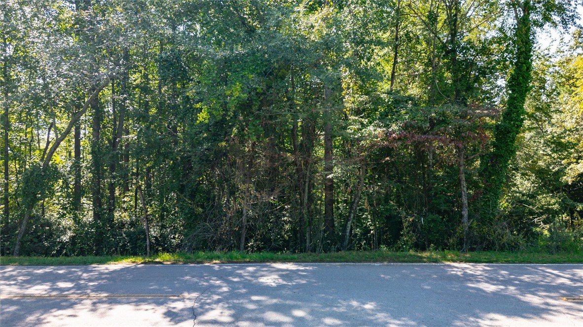 113 Jessamine Drive Central, SC 29630 - Photo 5 of 9