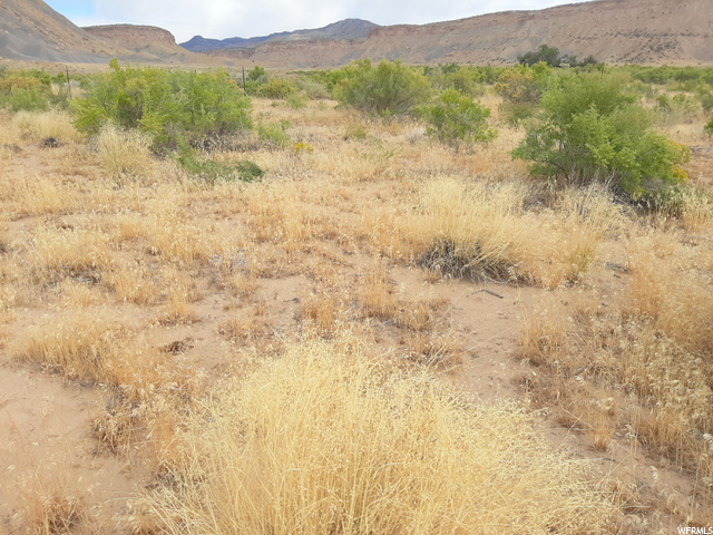 20 Thompson Area Road Green River, UT 84525 - Photo 11 of 18 Fall Rice Grass.