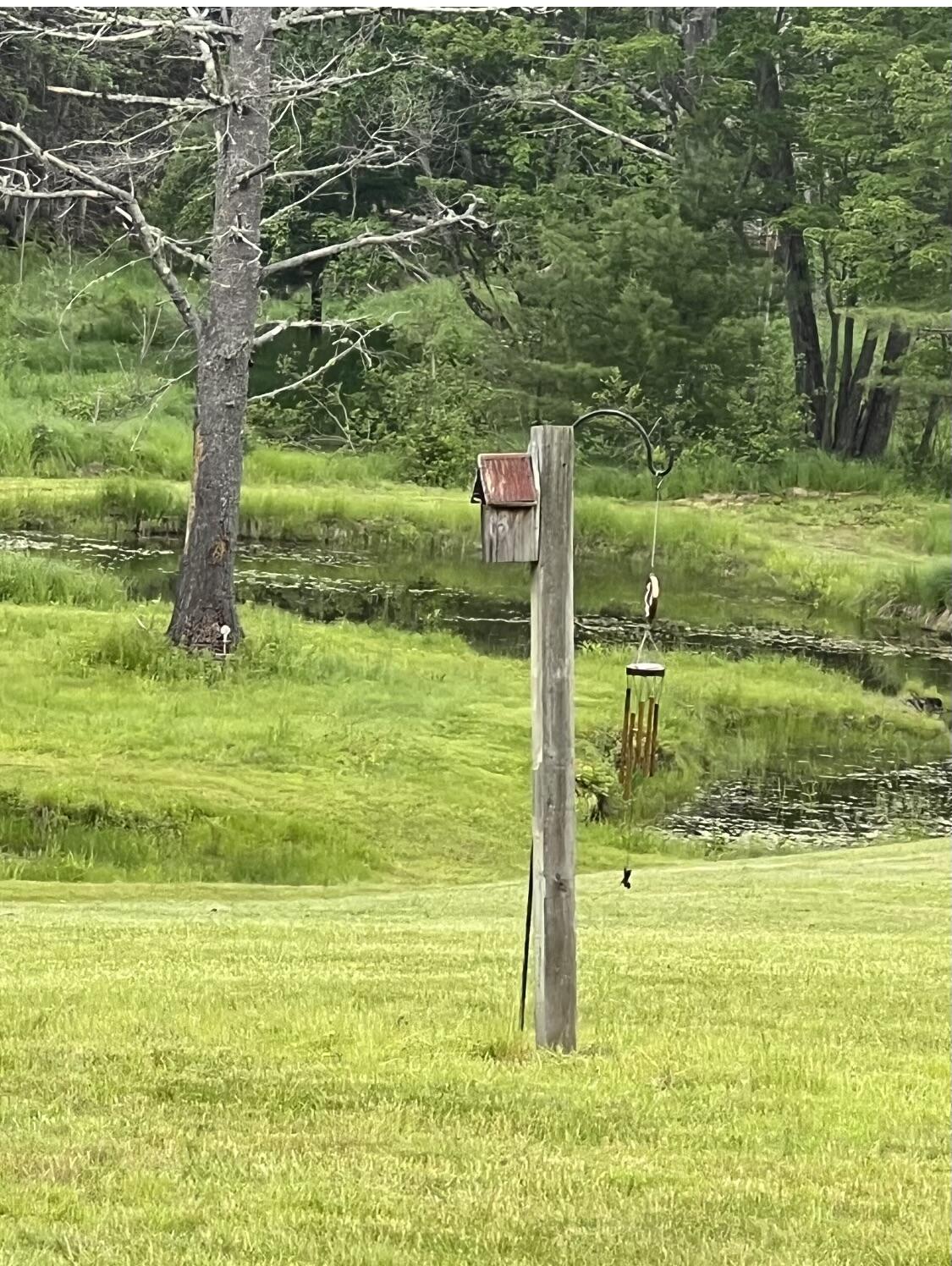 181 River Road Carthage, ME 04224 - Photo 47 of 50 IMG_8762