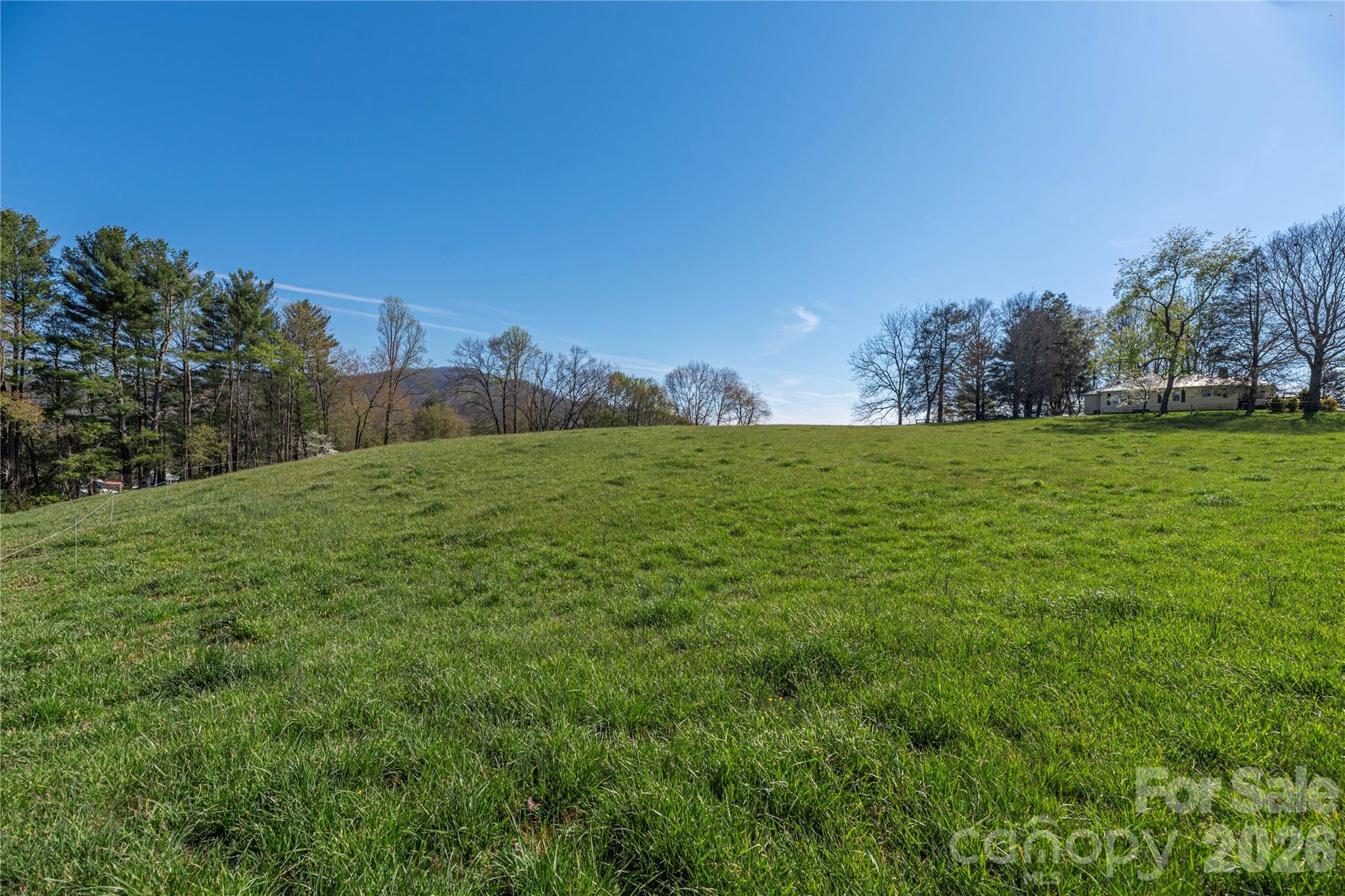 284 Woodland Church Road Clyde, NC 28721 - Photo 11 of 25 a view of a field with trees in the background