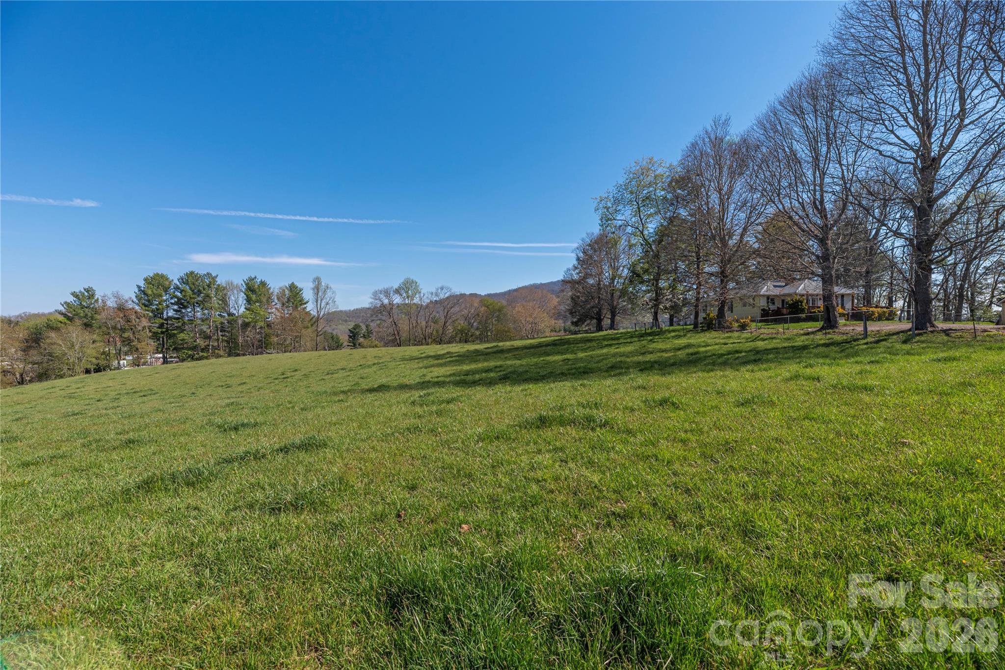 284 Woodland Church Road Clyde, NC 28721 - Photo 16 of 25 a view of a field with trees in background
