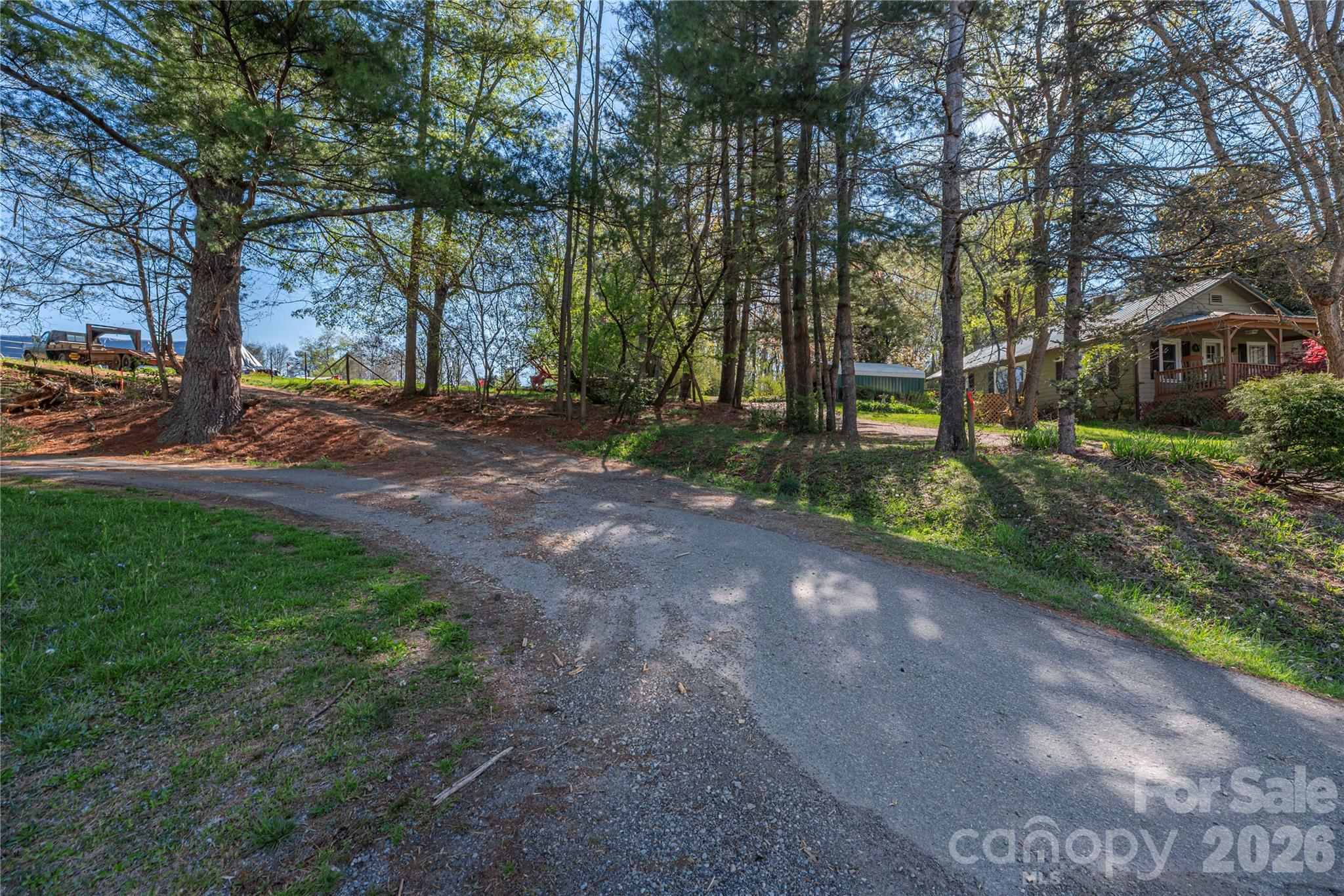 284 Woodland Church Road Clyde, NC 28721 - Photo 19 of 25 a view of a yard with plants and trees