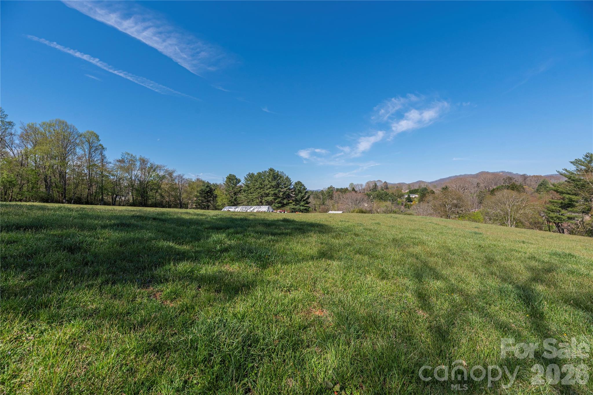 284 Woodland Church Road Clyde, NC 28721 - Photo 4 of 25 a view of an outdoor space and a yard
